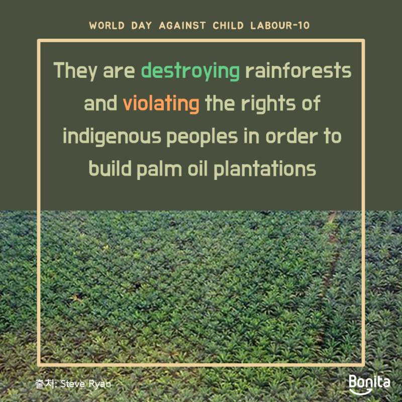 palm oil and child labor 세계시민교육 보니따